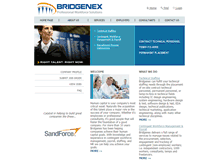 Tablet Screenshot of bridgenex.com